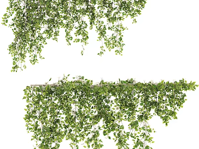 Lush Green Vines with Hanging Leaves and Climbing Growth Trails 3d model