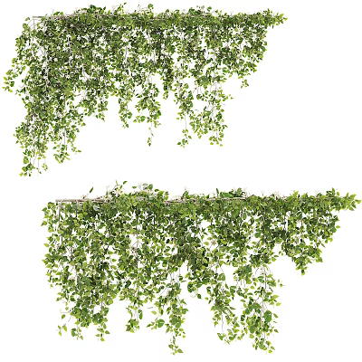Lush Green Vines with Hanging Leaves and Climbing Growth Trails 3d model Lush Green Vines with Hanging Leaves and Climbing Growth Trails 3d model
