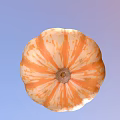 Fresh Ripe Pumpkin With Round Shape And Orange Yellow Skin As Healthy Food Ingredient