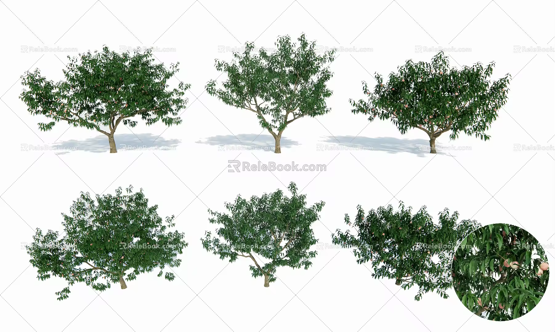 Peach Tree Modern Tree 3d model