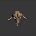 High Quality Professional Medical Device Bovine Skull Skeletal Model with Detailed Structure for Educational Training