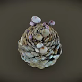 Natural Pine Cone With Small Mushrooms Growing On Its Textured Surface