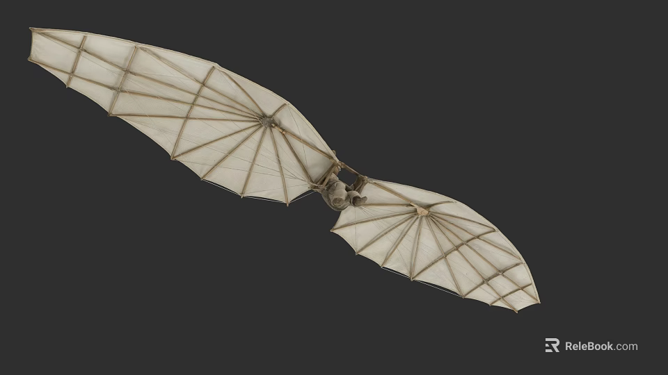 3D Model of Bat With Outstretched Membrane Wings and Skeletal Structure 3d model 