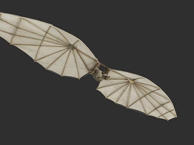 3D Model of Bat With Outstretched Membrane Wings and Skeletal Structure 3d model