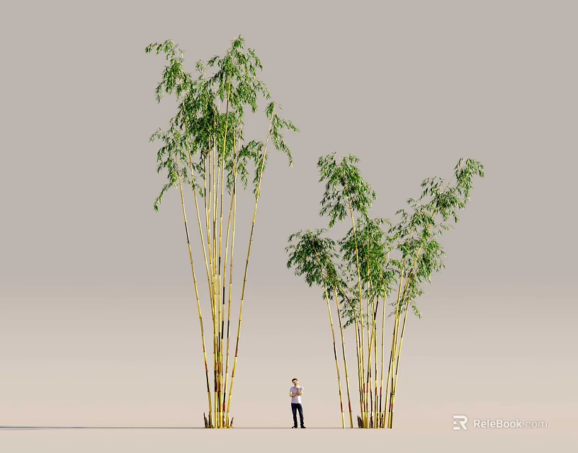 Tall Green Leaf Bamboo Plants with Multiple Stems and Human Figure Nearby Against Gray Background 3d model 