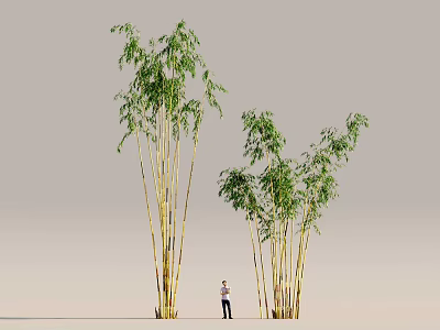 Tall Green Leaf Bamboo Plants with Multiple Stems and Human Figure Nearby Against Gray Background 3d model