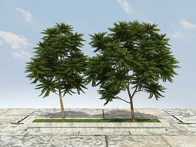 Lush Green Arbor Trees Standing On Stone Pavement With Blue Sky Background 3d model