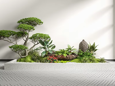 Indoor Green Plant Landscape With Various Trees Ferns Succulents And Decorative Stones 3d model