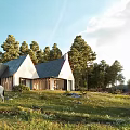 Detached Villa With Sloped Roof And Wooden Exterior In Sunlit Grassland Surrounded By Pine Trees