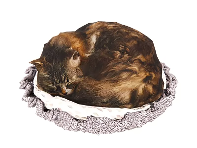 Brown Striped Reptile Curled Up In Gray Knitted Bed With White Cushion 3d model