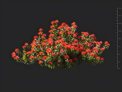 Vibrant Red Flowers With Lush Green Leaves In A Beautiful Plant Bush 3d model