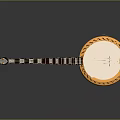 Artistic Banjo Instrument With Golden Decorative Body White Panel And Reflective Surface