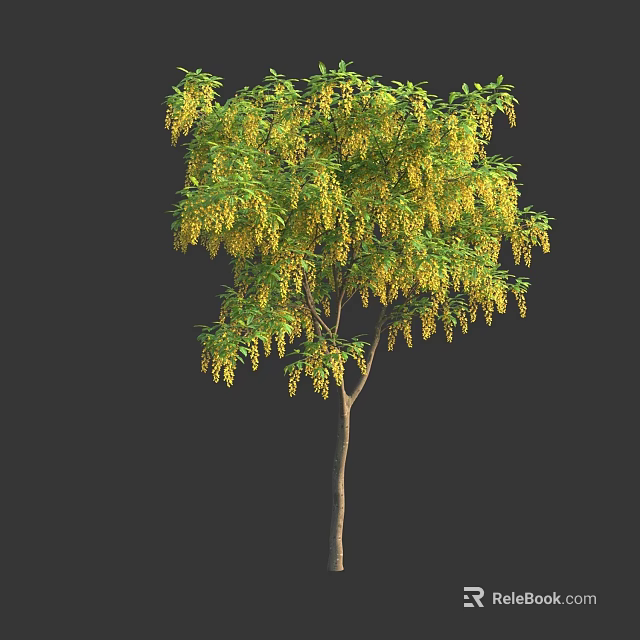 Lush Green Arbor Tree With Pendulous Yellow Flowers And Dense Foliage 3d model 