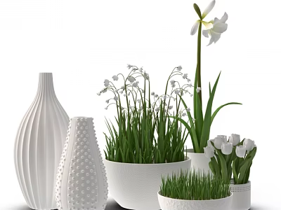 Decorative Bonsai Potted Plants With White Flowers Green Grass And Ceramic Pots 3d model