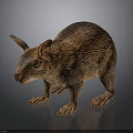 Realistic Brown Furry Animal Model With Long Ears And Short Legs