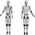 Smart Robots Front And Back View With White Humanoid Mechanical Structure Design 3d model