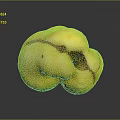 Single Yellow Blemished Fruit With Rotten Spots On Dark Reflective Surface