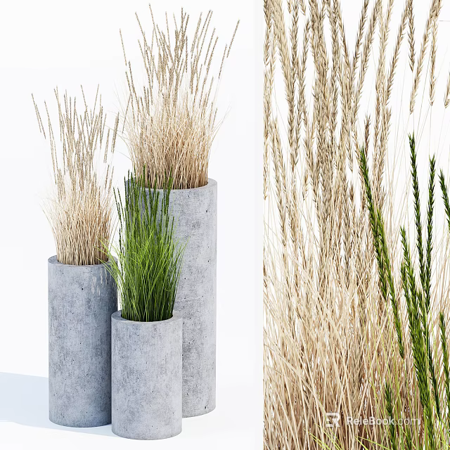 Bonsai Potted Plants in Concrete Pots with Green and Dried Grasses of Various Heights 3d model 