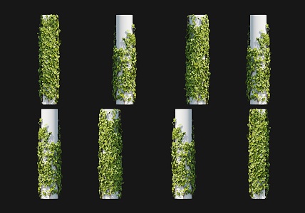 Modern Everspring Vine Climbing Wall Shrub Ivy Vine Soil Drum Vine Hundred Horned Centipede Climbing Vine Green Plant Pillar Ivy Vine 3d model