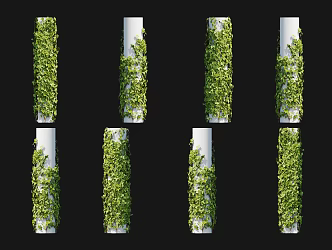 Modern Everspring Vine Climbing Wall Shrub Ivy Vine Soil Drum Vine Hundred Horned Centipede Climbing Vine Green Plant Pillar Ivy Vine 3d model