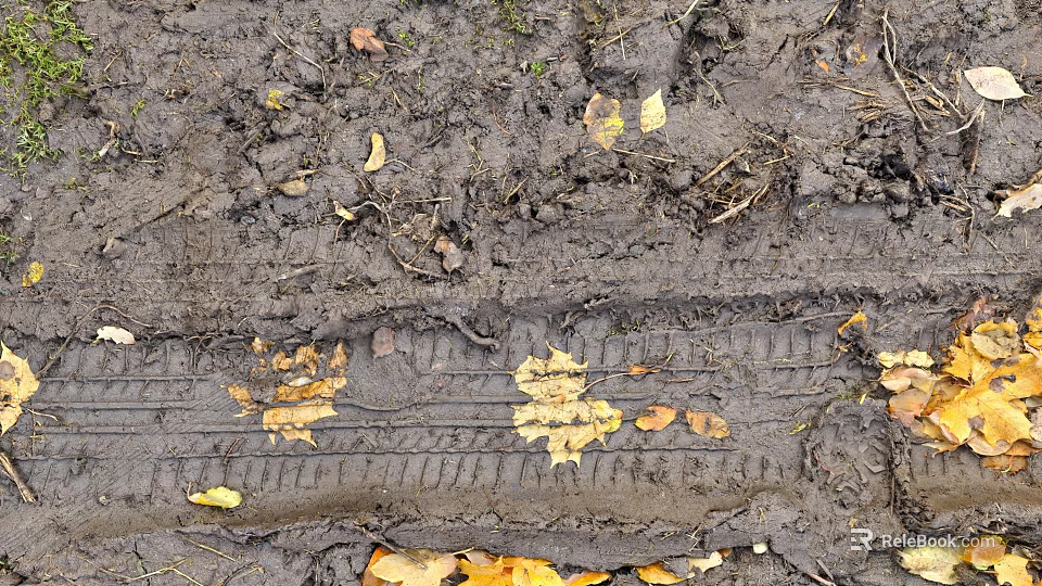 Detailed Microtopography of Muddy Ground With Tire Tracks and Fallen Leaves 3d model 