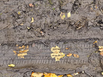 Detailed Microtopography of Muddy Ground With Tire Tracks and Fallen Leaves 3d model