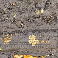 Detailed Microtopography of Muddy Ground With Tire Tracks and Fallen Leaves