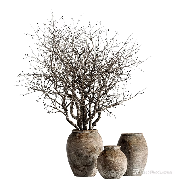 Rustic Bonsai Tree with Twisted Trunk Leafless Branches and Small Buds in Terracotta Pots 3d model 
