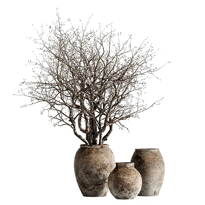 Rustic Bonsai Tree with Twisted Trunk Leafless Branches and Small Buds in Terracotta Pots 3d model