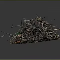 Natural Compost Pile With Twigs Fallen Leaves Soil And Green Plants