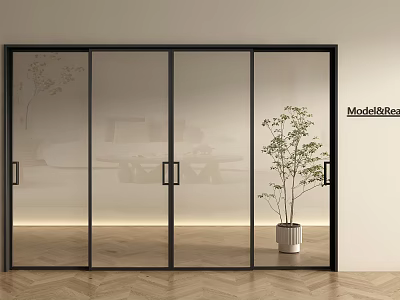 Glass Sliding Doors With Black Frame In Modern Interior With Wooden Floor And Potted Plant 3d model