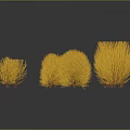Orange Bush Plants with Multiple Tufts on Dark Background and Reflections 3d model