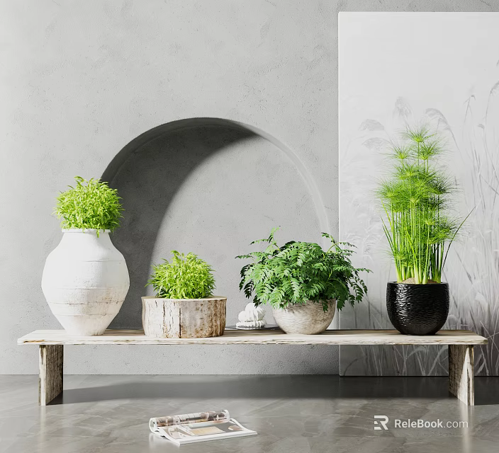 Indoor Potted Plants Arrangement On Wooden Bench With Arch Wall Background 3d model 