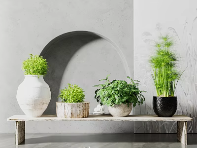 Indoor Potted Plants Arrangement On Wooden Bench With Arch Wall Background 3d model