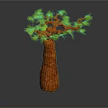 Baobab Tree With Thick Brown Trunk And Green Leafy Branches On Gray Background
