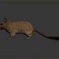 Small Brown Mouse Game Movie Character With Big Ears And Black Eyes