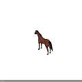 Brown Horse With Black Mane Tail And White Hooves Standing On Green Background