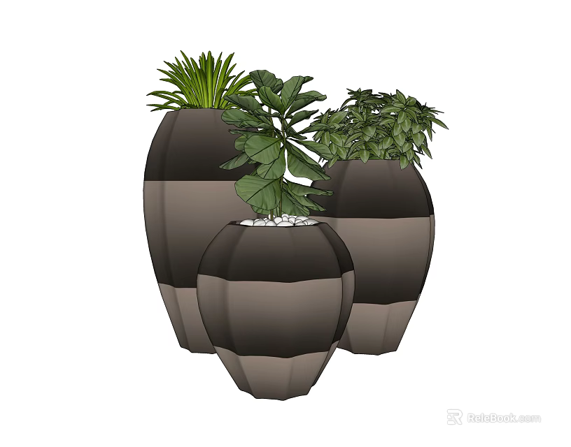 Three Bonsai Potted Plants with Two Tone Gray Planters and Lush Green Leaves 3d model 