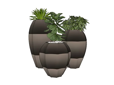Three Bonsai Potted Plants with Two Tone Gray Planters and Lush Green Leaves 3d model