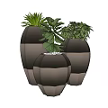 Three Bonsai Potted Plants with Two Tone Gray Planters and Lush Green Leaves