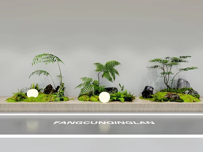 Decorative Indoor Plant Combinations With Ferns Small Trees Stones Moss And Lighting 3d model