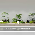 Decorative Indoor Plant Combinations With Ferns Small Trees Stones Moss And Lighting