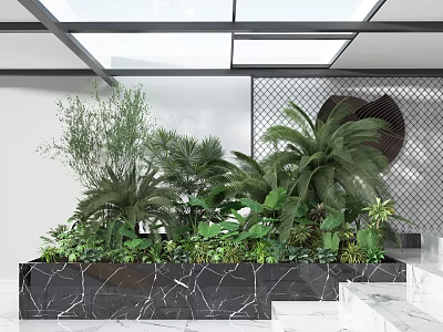Lush Indoor Greenery Display In Marble Planter With Bamboo Palm And Skylight 3d model