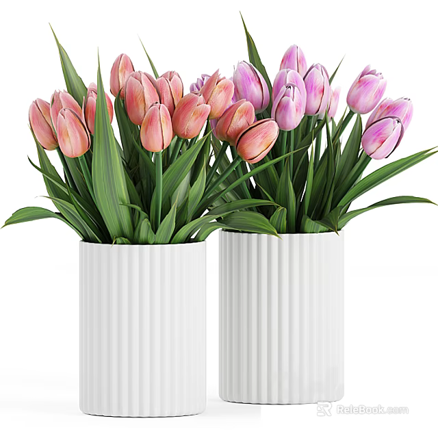 Pink And Purple Tulips In White Ribbed Vases With Green Leaves For Home Decor 3d model 