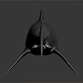 Realistic Gray Shark 3D Model With Detailed Skin Texture On Dark Background