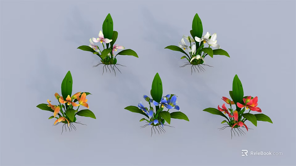 Colorful Potted Plants with White Pink Orange Blue Red Flowers Green Leaves and Exposed Roots 3d model 