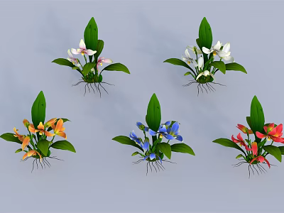 Colorful Potted Plants with White Pink Orange Blue Red Flowers Green Leaves and Exposed Roots 3d model