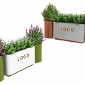 Bonsai Potted Plants In Green Brown White Planters With LOGO Purple Flowers And Green Leaves