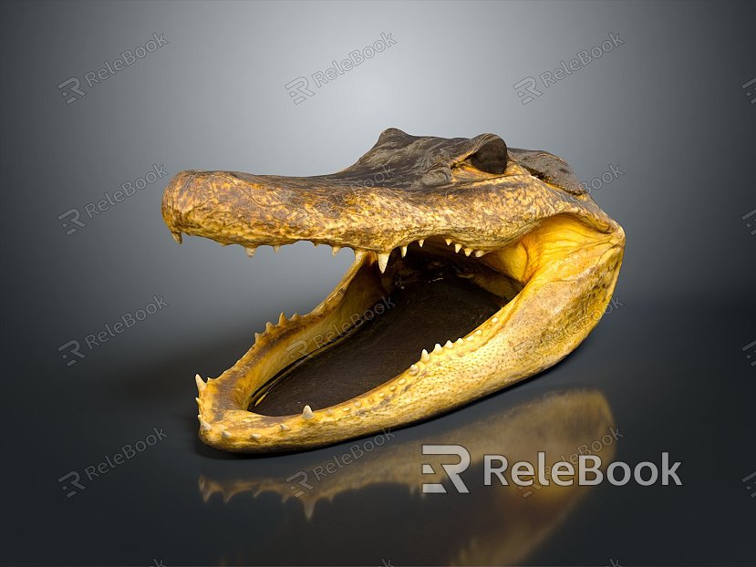 Crocodile Alligator Nile Crocodile carnivore reptile cold-blooded animal reptile reptile model