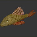 Modern Catfish Freshwater Fish 3d model